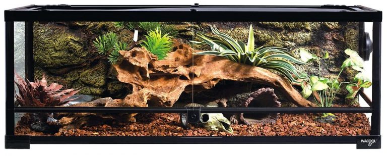 9 Most Durable & Spacious Reptile Enclosure | Storables