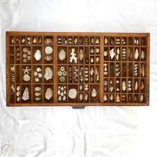 Seashell Hamilton Letterpress drawers