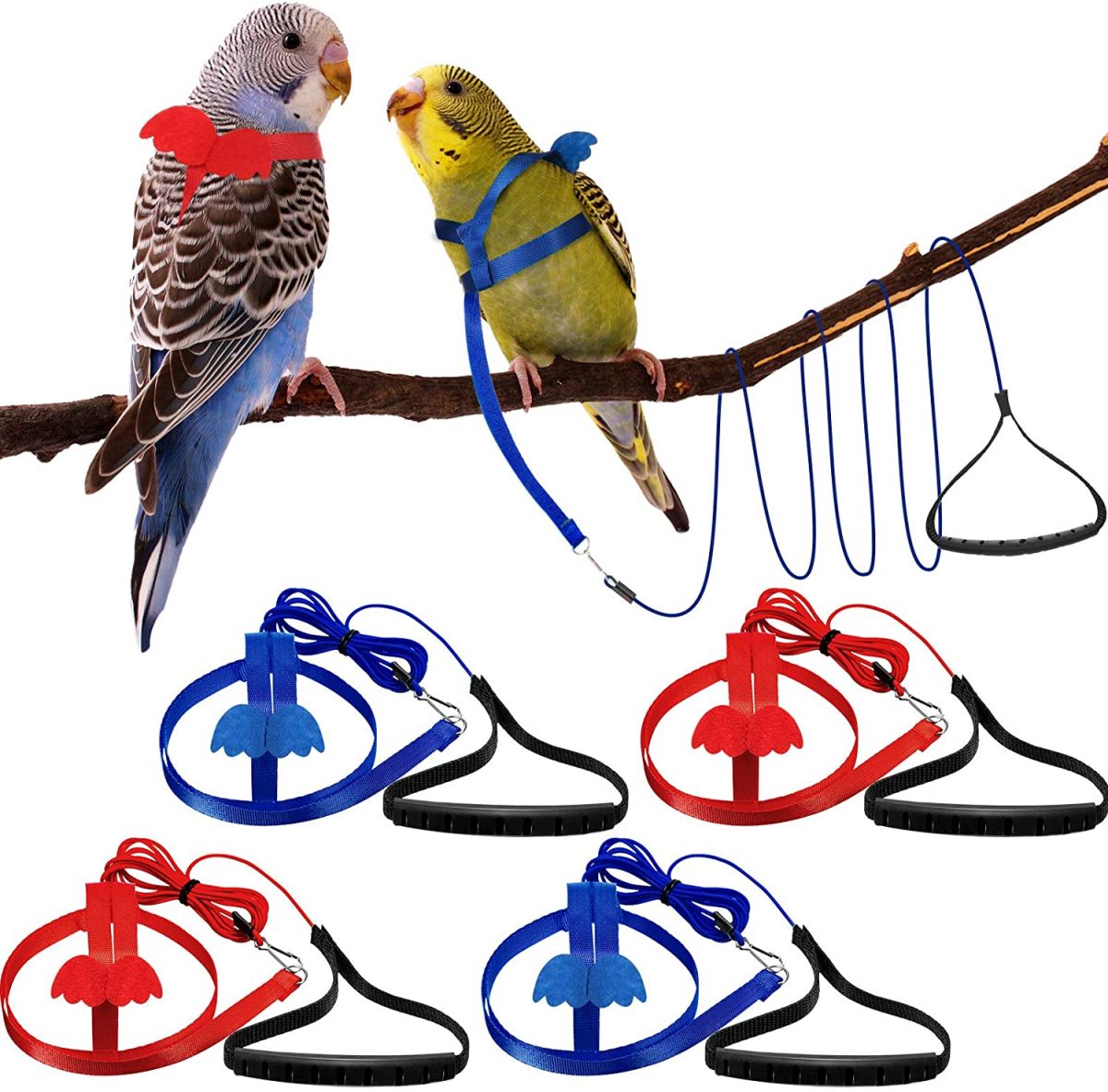 Bird Harness How To Train Your Feathered Kid(Fid) Using One