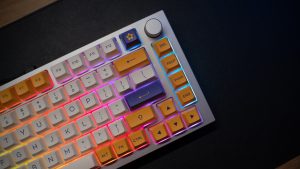Best Tenkeyless Mechanical Keyboards for Gaming and Office Use