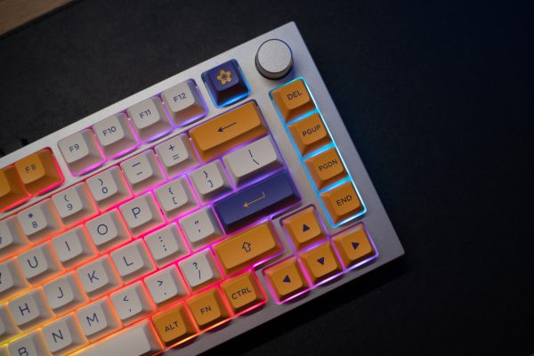 Best Tenkeyless Mechanical Keyboards for Gaming and Office Use