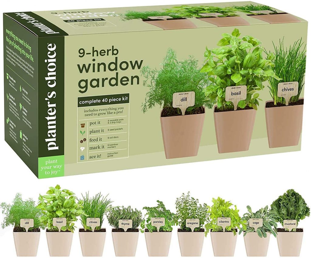  Indoor plants and Herbs Growing Kit