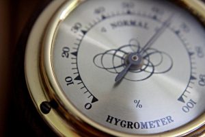 10 Best Hygrometers to Gauge and Monitor Humidity