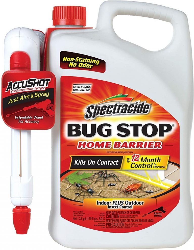 Best NonToxic and Effective Bug Spray for Your Home Storables