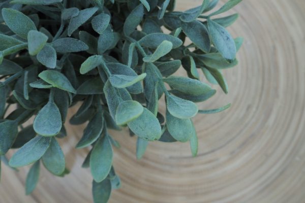 10 Lifelike Faux Plants to Brighten Up Your Desk