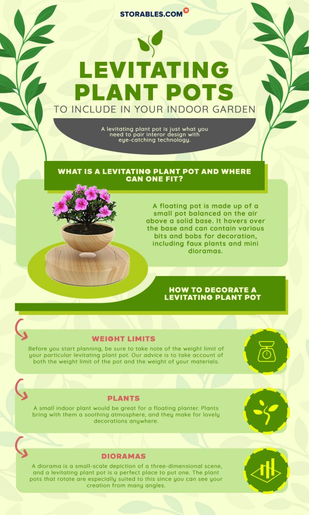 6 Levitating Plant Pots You Must Include In Your Indoor Garden Storables