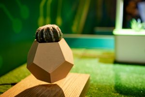 6 Levitating Plant Pots You Must Include In Your Indoor Garden