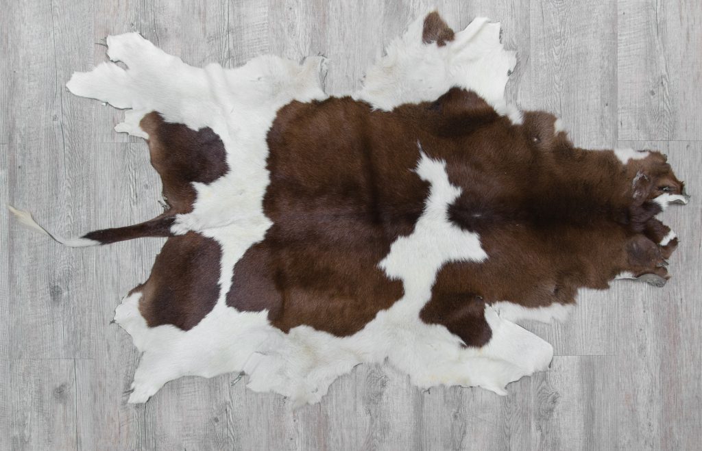 Affordable Cow Hide Rug For Your Living, Do Cowhide Rugs Smell
