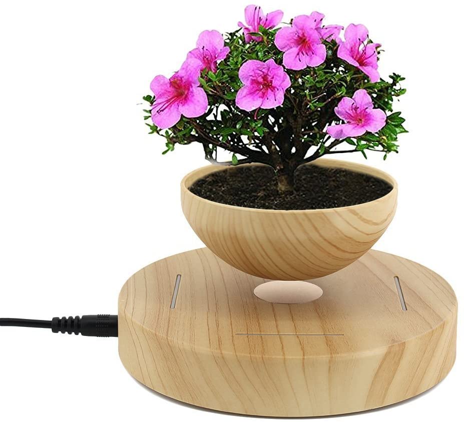 Levitating Air Bonsai Plant Pot
