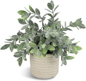 Artificial Plant with Cloth Holder