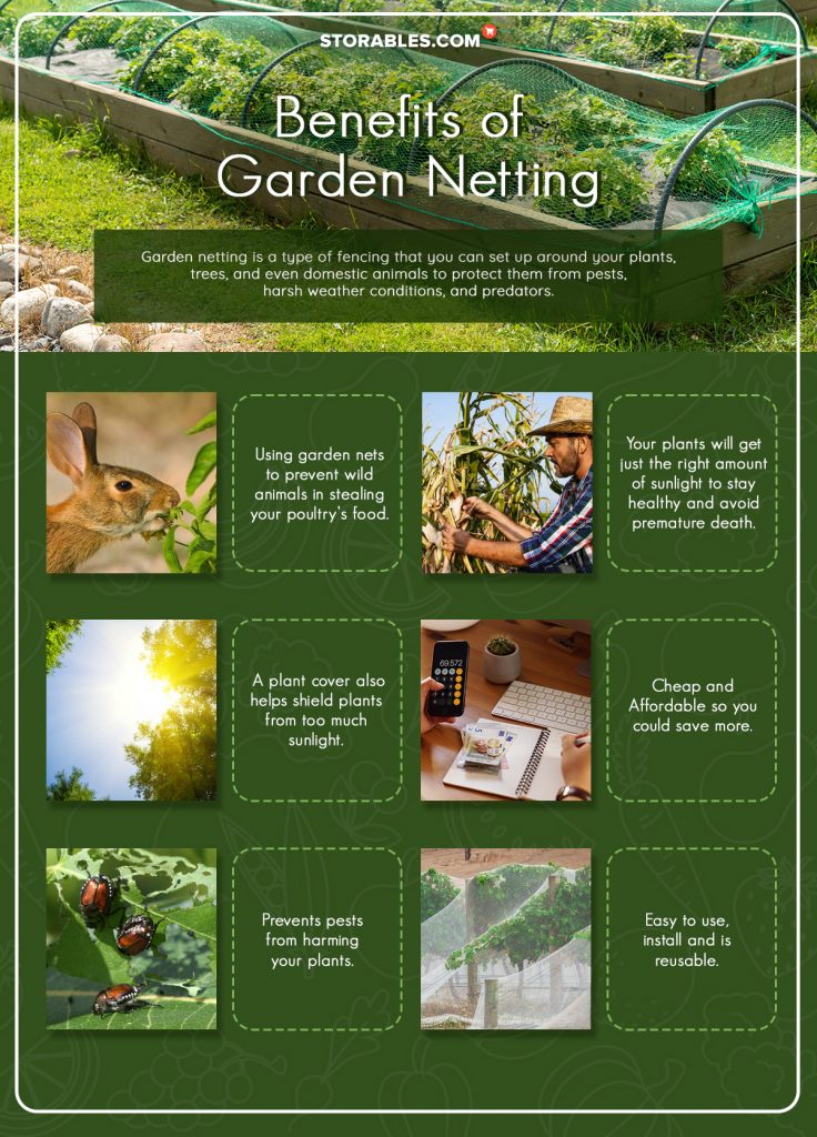 10 Best Garden Netting To Protect Your Flora and Fauna Storables