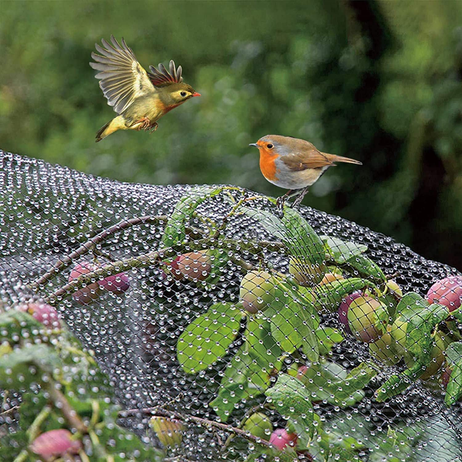 Deer or Other Animals HIKEP Garden Netting Kits Deer Fence Netting for Garden Protection Fruit Trees Vegetable Against Birds 50Pcs Garden Hoops Grow Tunnel 7x65Ft Bird Netting with 10 Sets 