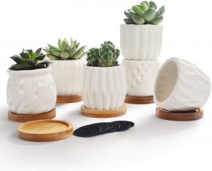 Set of 6 Porcelain Planters