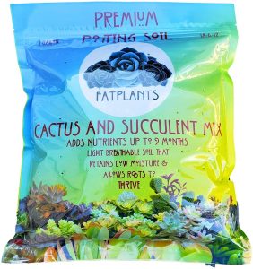 Premium Cacti and Succulent Soil