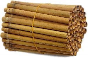 Bamboo Tubes