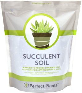 Natural Succulent and Cactus Soil Mix