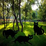 Black Cats with Reflective Eyes
