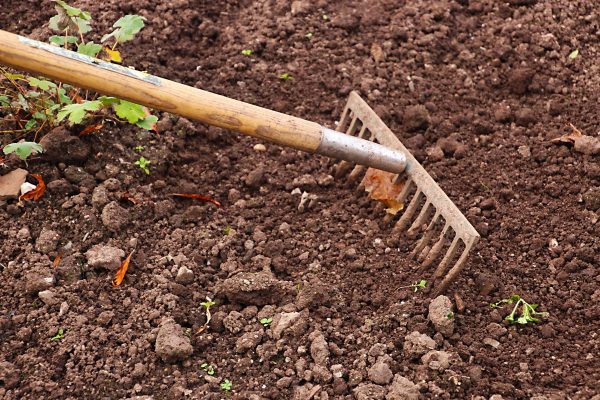 Best Garden Rake for Smoothening Soil