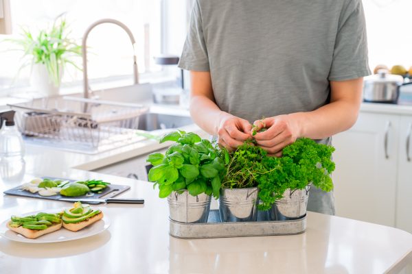 Best Garden Kits for Your Urban Home