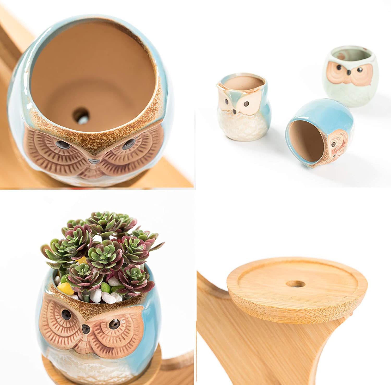 8. LukieJac Owl Succulent Pots with Bamboo Saucers Stand Holder