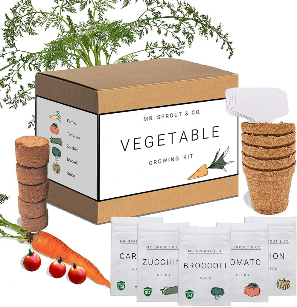 Indoor Garden Kit with Vegetable Seeds for Planting Home Garden