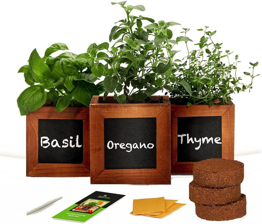 Indoor Herb Garden Kit with Wooden Herb Planters