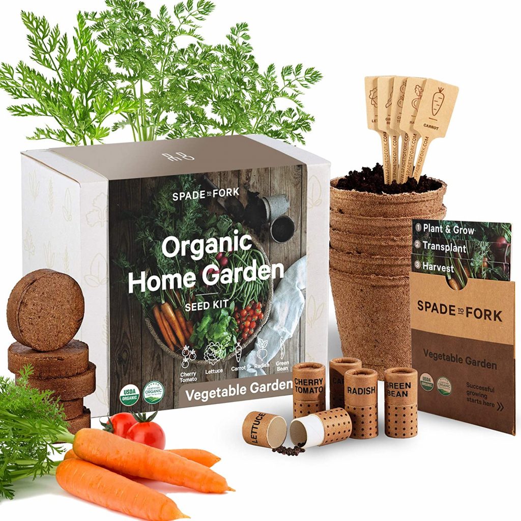 Indoor Vegetable Garden Starter Kit