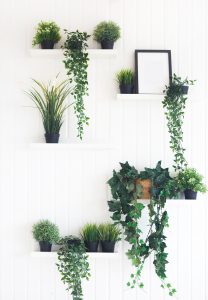 10 Plant Shelves To Elevate Your Green Babies