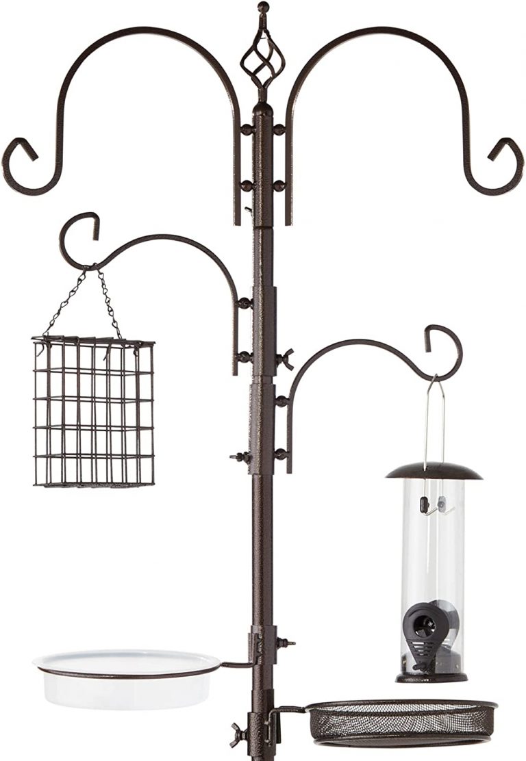 Best Bird Feeder Pole Options for Your Garden Storables