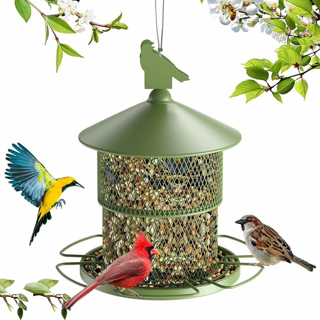 Best Bird Feeder Pole Options For Your Garden 