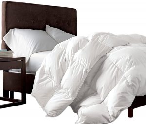 Luxurious Goose Down Comforter for Down vs Down Alternative
