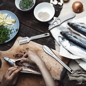Best Fish Scaler Options for Beginners to Use at Home