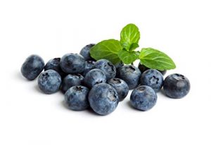Fresh Frozen Organic Blueberries for Food Processor Vs Blender