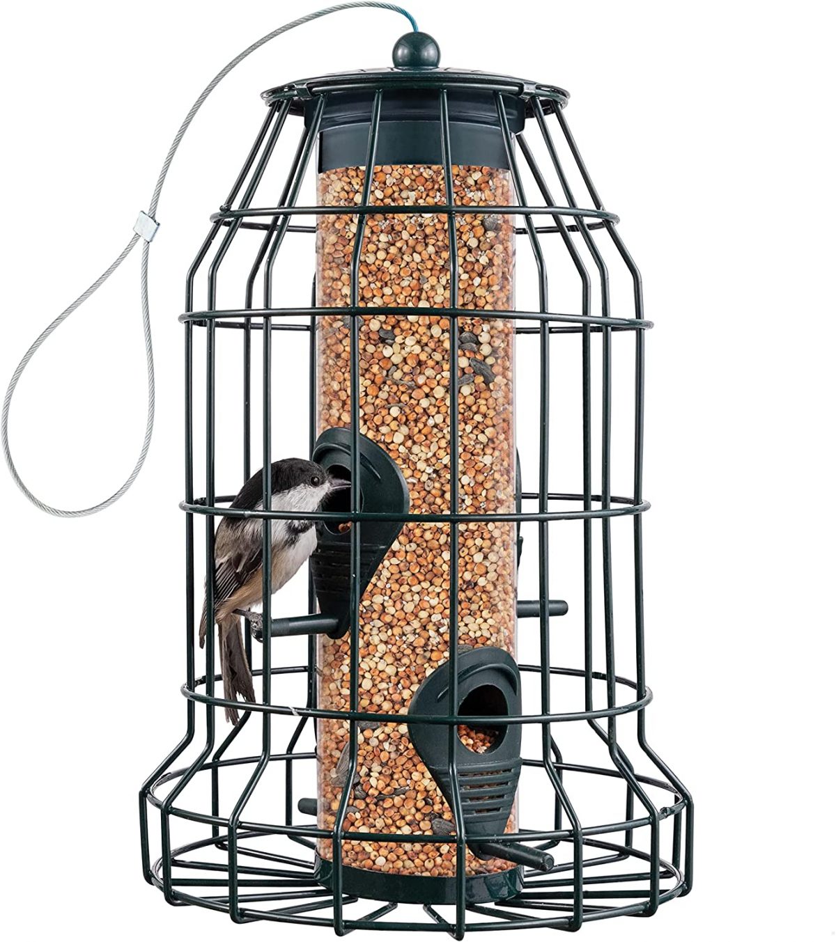 Best Bird Feeder Pole Options for Your Garden Storables
