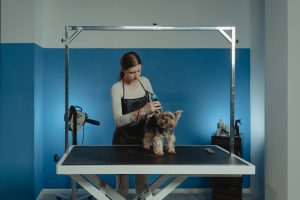 Portable Dog Grooming Table for Your Pawsome Friends