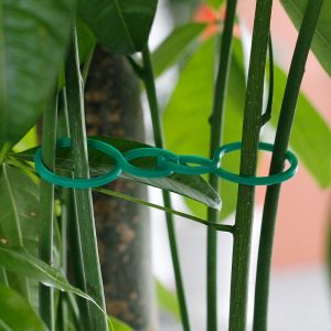 HOMEANING Twist Clip for Climbing Plants