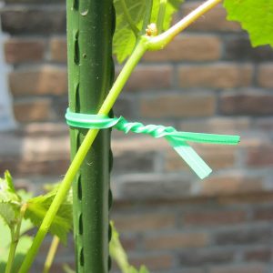 Gardzen Multi-Function Garden Plant Twist Tie