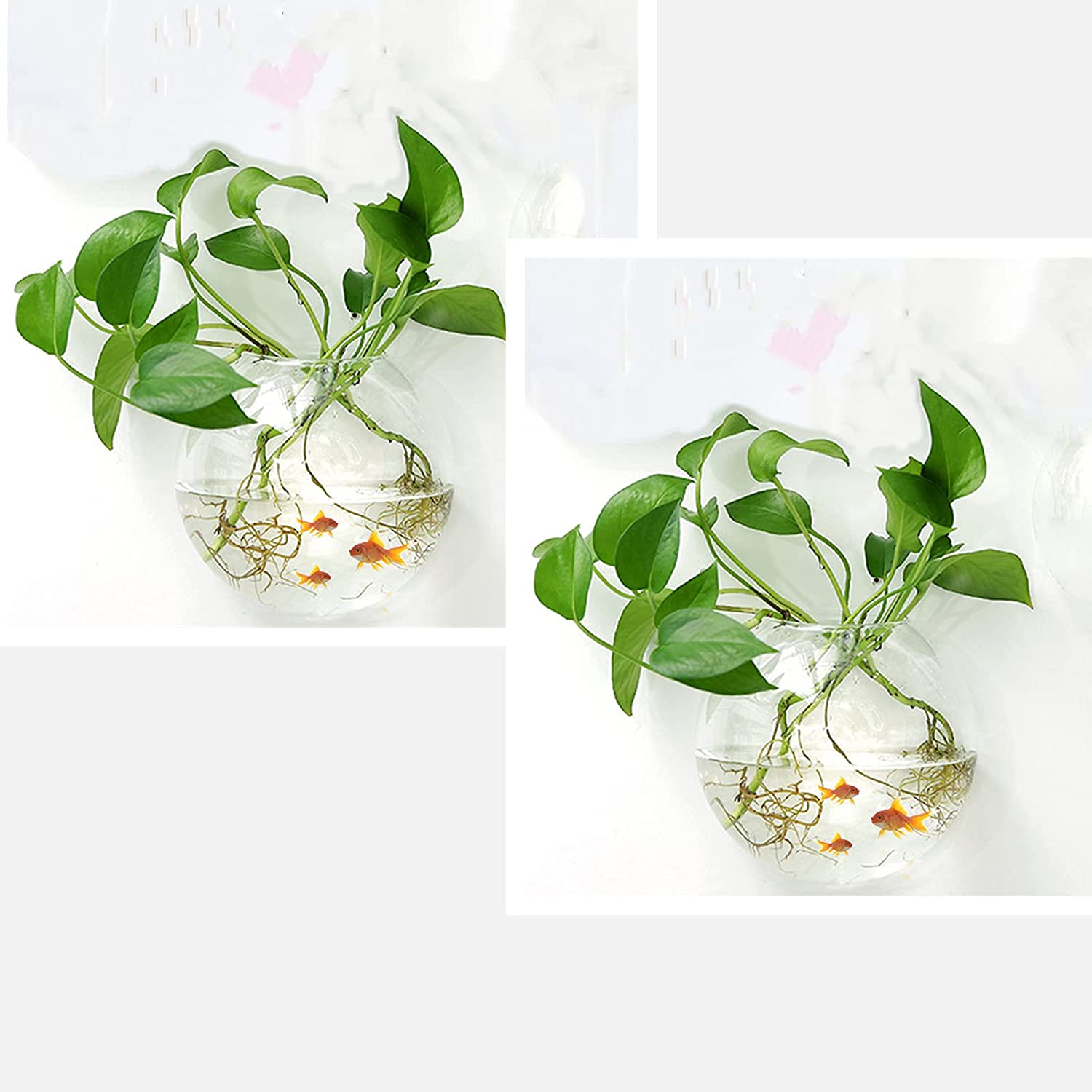 Best Wall Mounted Fish Tank to Beautify Your Home Storables