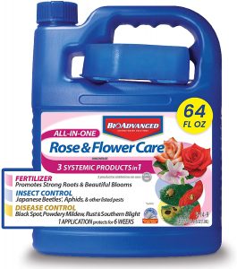 [BioAdvanced] All-in-1 Rose Care Concentrate for What is The Best Fertilizer For Roses