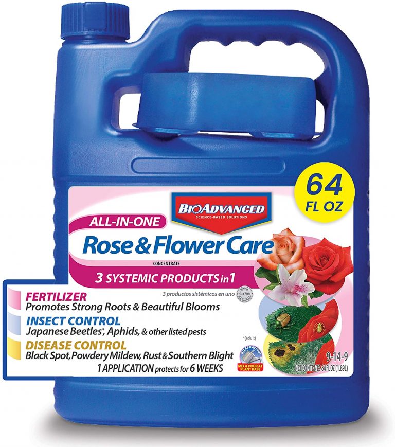 What Is The Best Fertilizer For Roses Your Ultimate Guide Storables