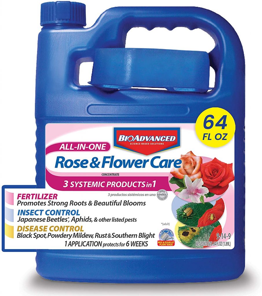 What Is The Best Fertilizer For Roses Your Ultimate Guide Storables