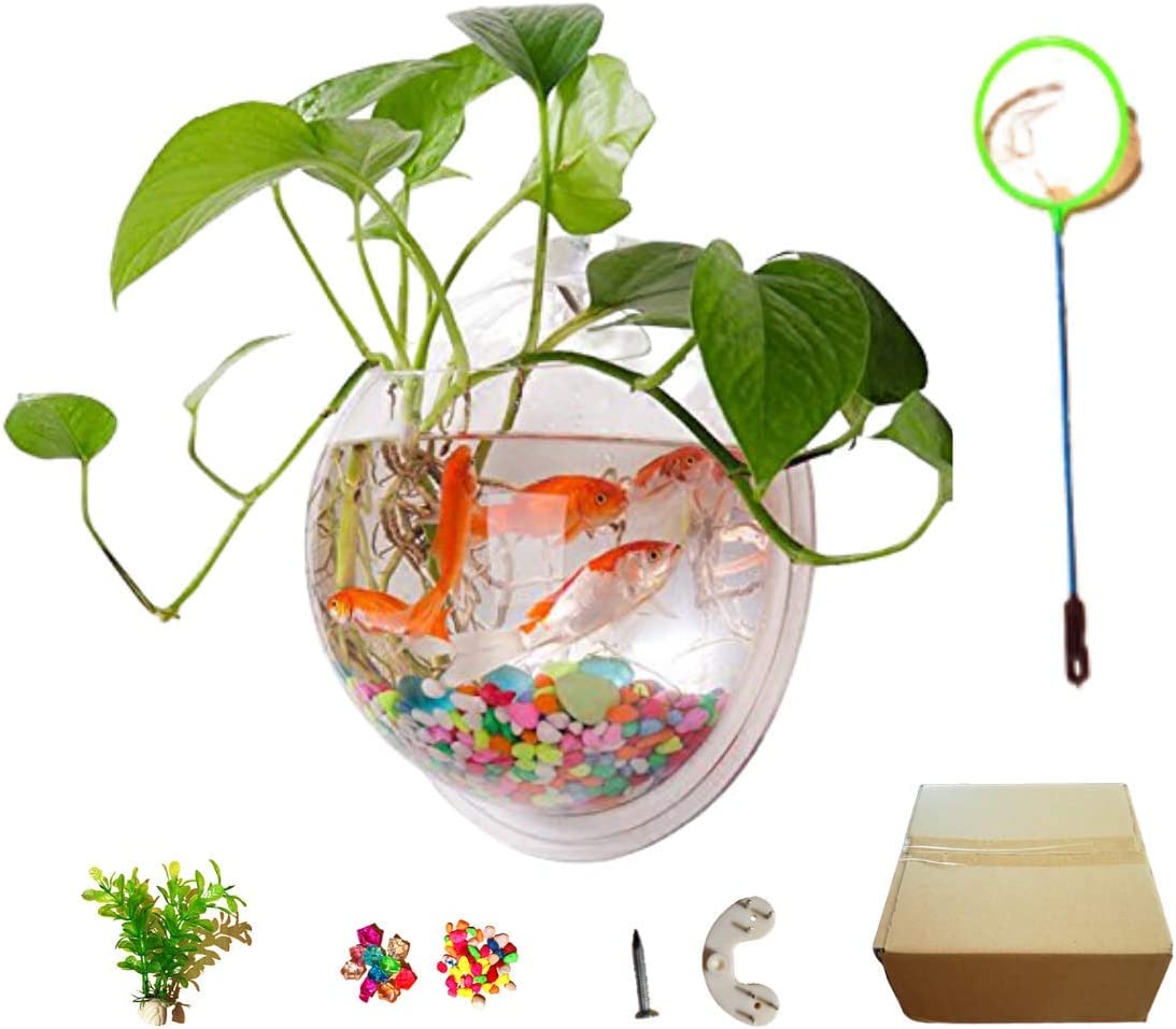 Best Wall Mounted Fish Tank to Beautify Your Home Storables