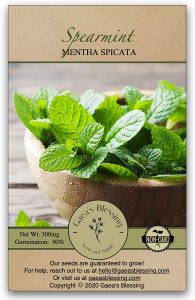 Gaea's Blessing Seeds - Mint Seeds