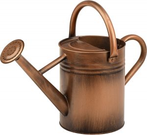 [Homarden] Copper-Colored Watering Can for What is The Best Fertilizer For Roses