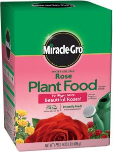 [Miracle-Gro] Water-Soluble Rose Plant Food for What is The Best Fertilizer For Roses