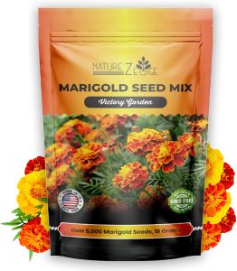 NatureZ Edge Marigold Seeds Mix