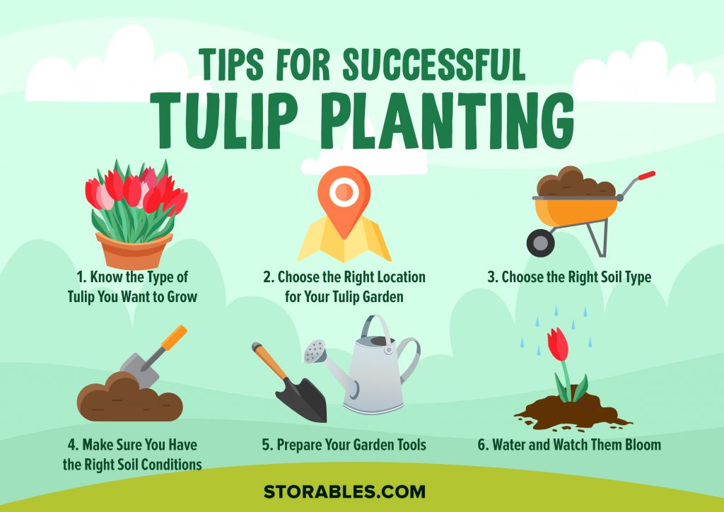When To Plant Tulips In The Uk: Best Timing & Tips