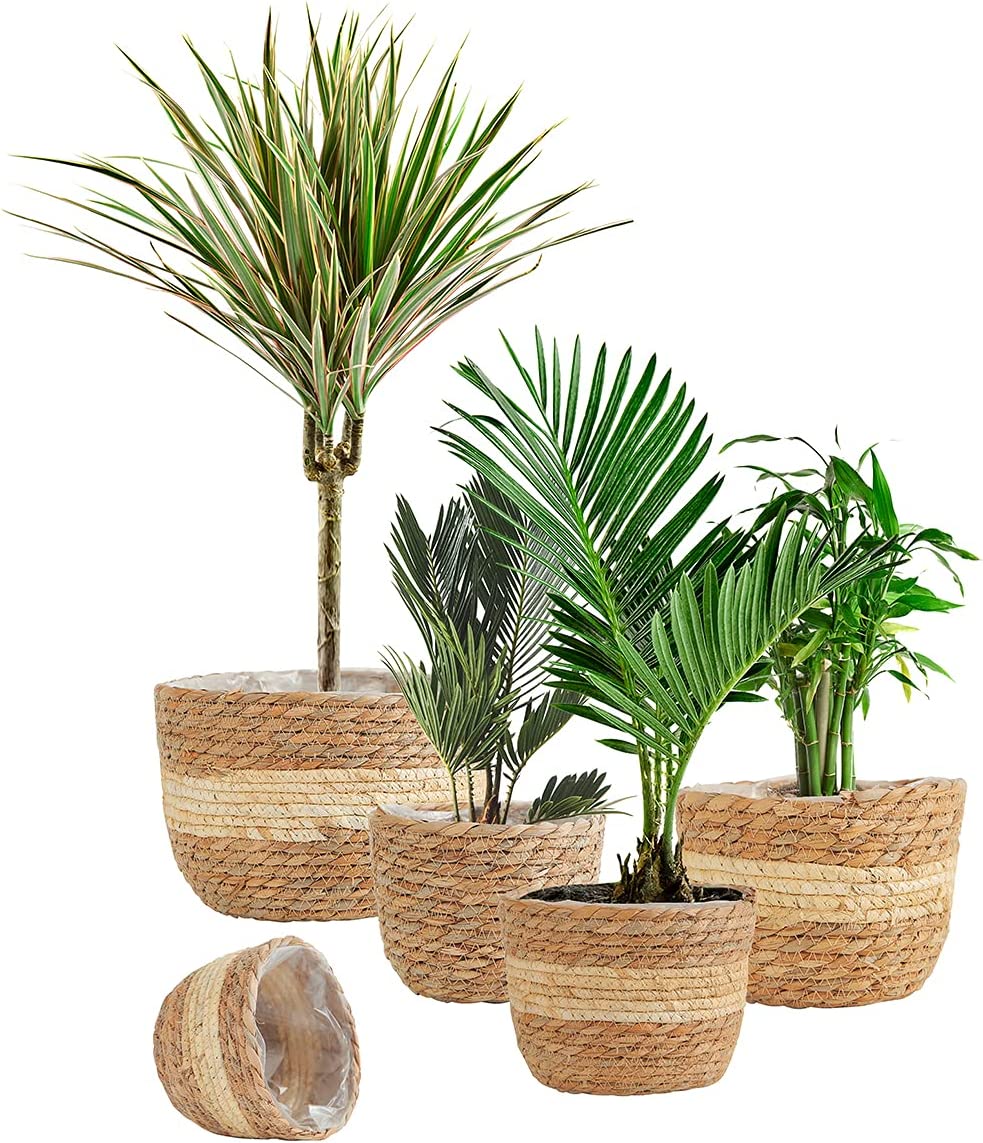 10. HANKRSSTOP Natural Plant Basket with Plastic Liner