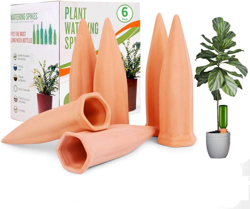 2. REMIAWY Plant Watering Spikes