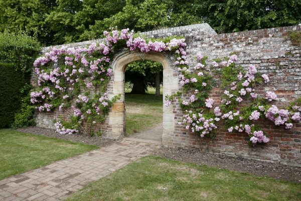 Garden Arch Ideas For a More Visually Appealing Backyard